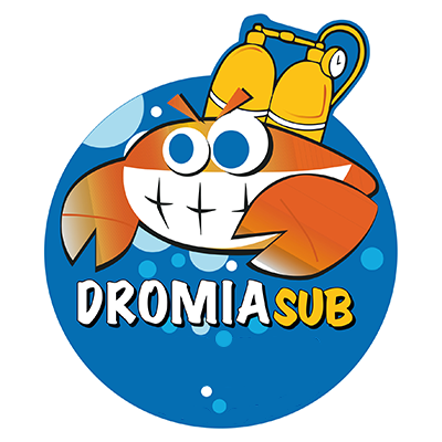 logo Dromia Sub